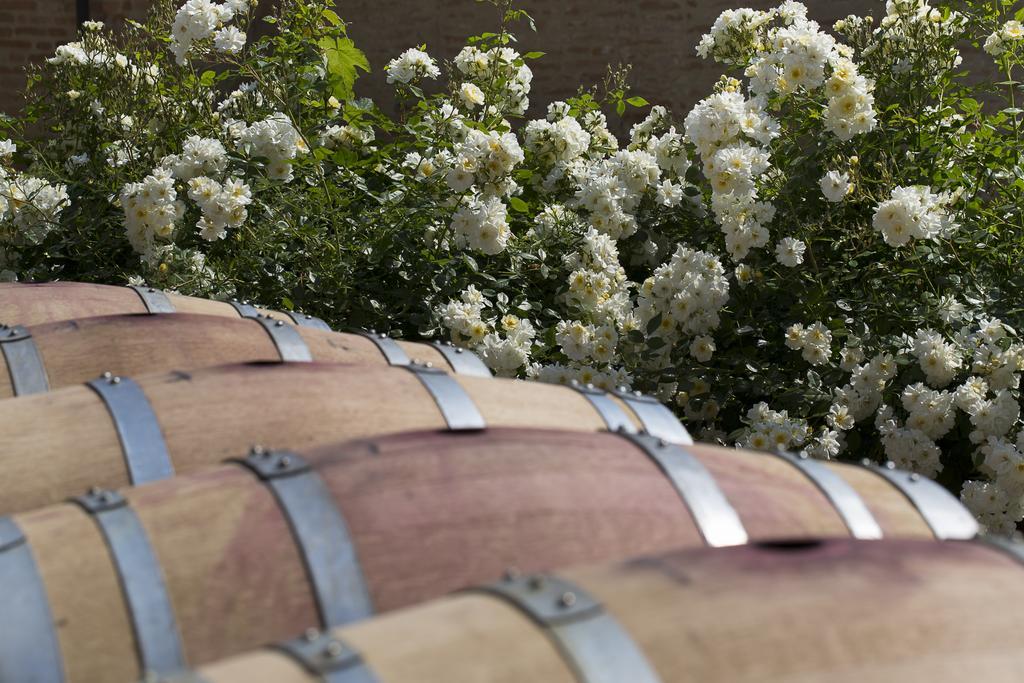 San Martino Alfieri Marchesi Alfieri - Cantine E Ospitalita מראה חיצוני תמונה