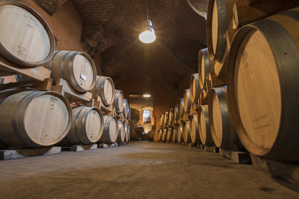 San Martino Alfieri Marchesi Alfieri - Cantine E Ospitalita מראה חיצוני תמונה