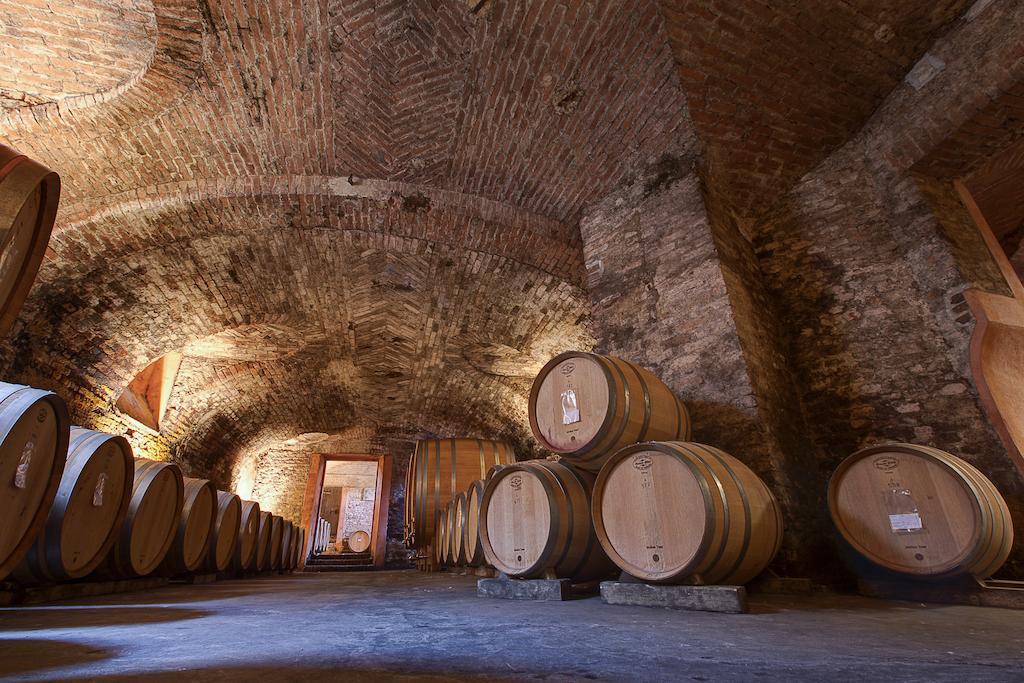 San Martino Alfieri Marchesi Alfieri - Cantine E Ospitalita מראה חיצוני תמונה