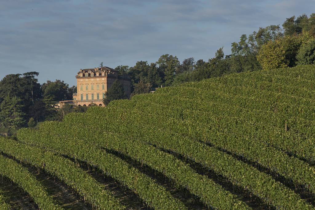San Martino Alfieri Marchesi Alfieri - Cantine E Ospitalita מראה חיצוני תמונה